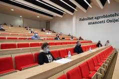 Mini IMG 4557